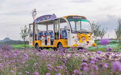 電動觀光車廠家哪個品牌好，電動觀光車市場價格